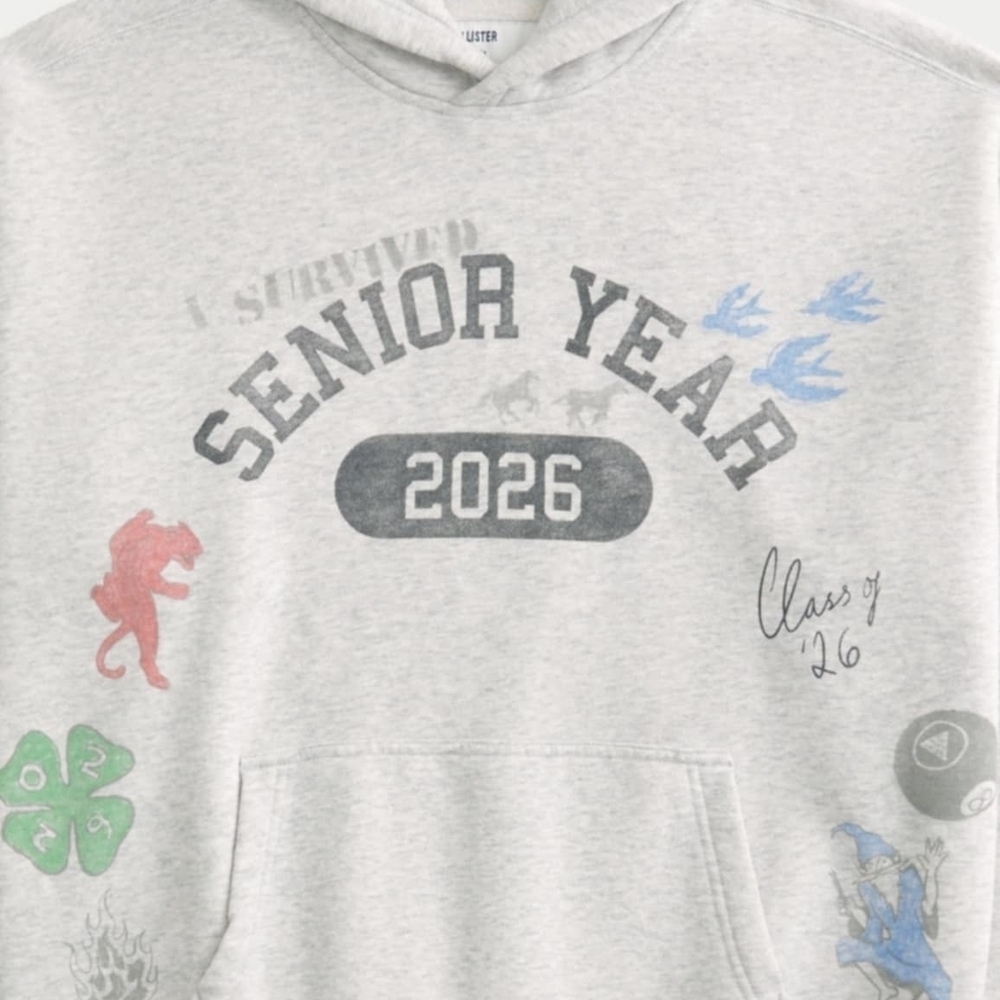 Hollister Gray Senior Year Graphic Hoodie - Picture 2 of 4